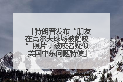特朗普发布“朋友在高尔夫球场被鹅咬”照片，被咬者疑似美国中东问题特使